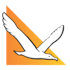 Sky Capital Airlines