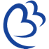 Blue Bird Airways