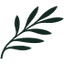 Cyprus Airways logo