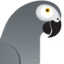 Fastjet Zimbabwe logo