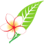 Lao Airlines logo