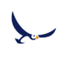 Sterling Airways logo