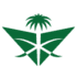 Saudia logo