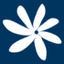 Air Tahiti Nui logo